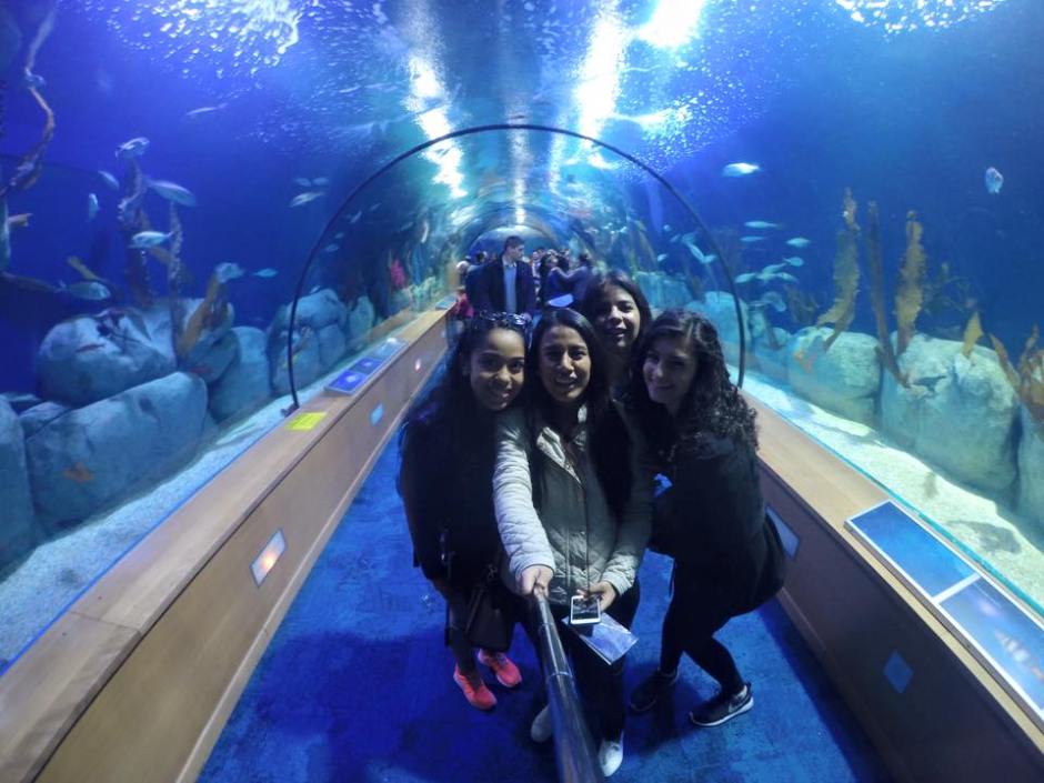 12728824_10153286879266046_3798766087525453887_n